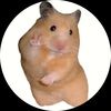 hamstershaver